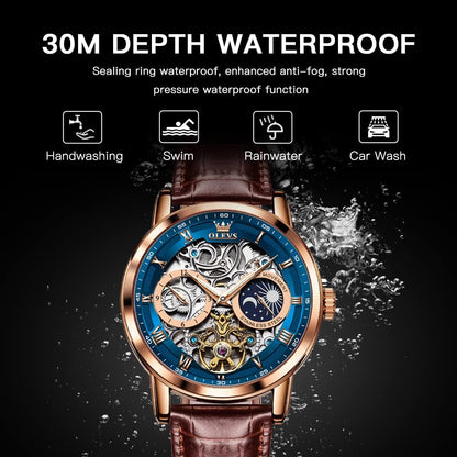 Luxury Automatic Skeleton Tourbillon Watch for Men - Brown Leather Strap, Moon Phase, Waterproof & Luminous Features